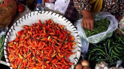 Harga Cabai Turun dari Rp130.000 ke Rp90.000, Konsumen Masih Terbebani