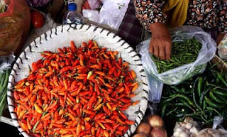 Harga Cabai