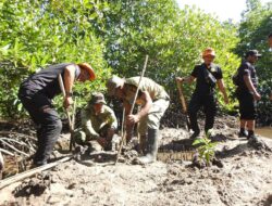 Penanaman Mangrove Kodim 1510/Sula: Langkah Konkret Menjaga Ekosistem Pantai dalam rangkaian Program TMMD Ke-123 di Desa Mangega