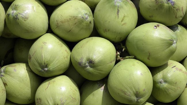 Ada beberapa waktu terbaik minum air kelapa yang perlu diperhatikan.