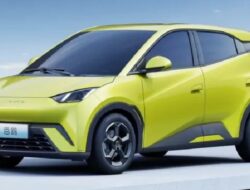 Mobil Listrik Murah BYD Muncul di Sistem Pajak Jakarta, Seagull Akan Rilis?