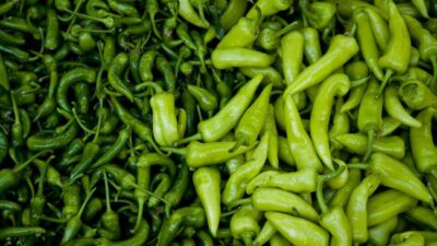 Manfaat Tak Terduga Cabai Hijau untuk Kulit, Dari Kolagen Hingga Sirkulasi Darah
