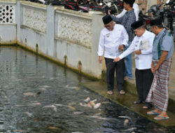 Bupati Agam Kenalkan Keindahan Kolam Ikan di Masjid Darul Ihsan