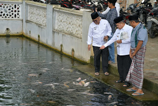 Bupati Agam Beri Makan Ikan di Kolam Masjid Darul Ihsan