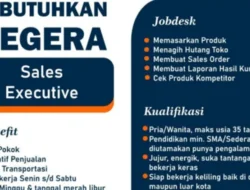 Cari Tantangan Baru? PT Adidaya Andalan Asia Membuka Lowongan Sales Executive