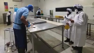 Kegiatan Inspeksi HACCP di PT. Dempo Andalas Samudera, Bungus, 20 Maret 2025.