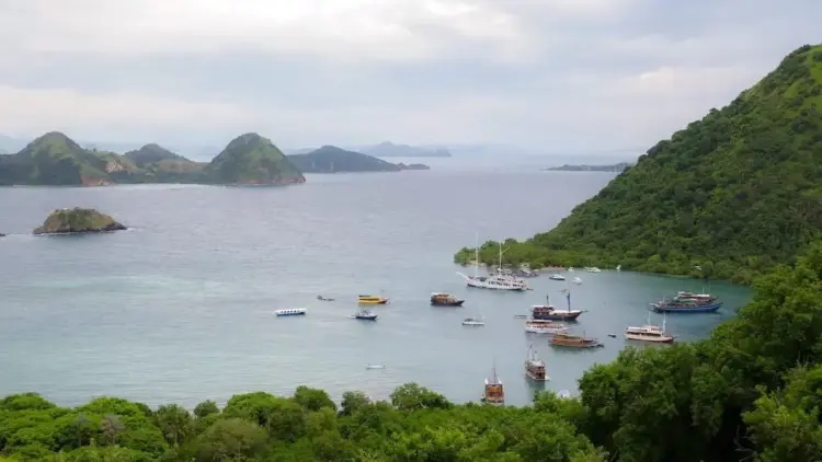 Pelaku Usaha Laut Wajib Jaga Akses dan Lingkungan