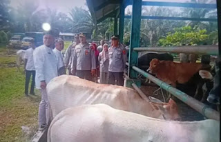 Sekretaris Dinas Perkebunan dan Peternakan Pasaman Barat saat melakukan pemeriksaan