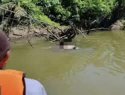 Pencarian Petani Hilang di Agam Berakhir Tragis