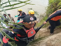Tim SAR Temukan Korban Serangan Buaya di Pasaman