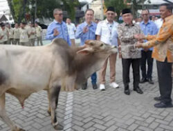 Wawako Padang Serahkan Hewan Kurban dari Perumda AM