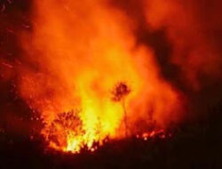 Kebakaran di Desa Tamansari, Polisi Selidiki Ledakan LPG