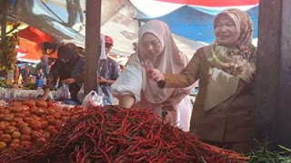 Kepala Dinas Ketahanan Pangan Pasaman Barat Sumbar Ekadiana Oktavia saat memantau ketersediaan pangan di Pasar.
