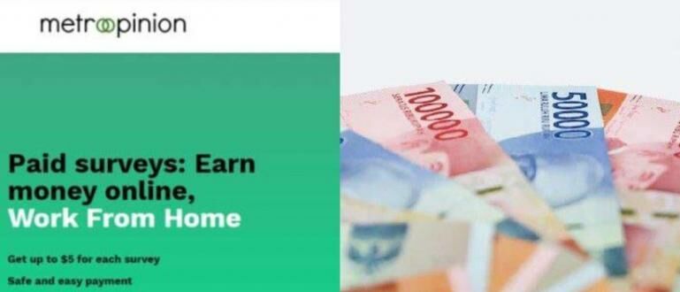 Aplikasi Survei Online Penghasil Uang.