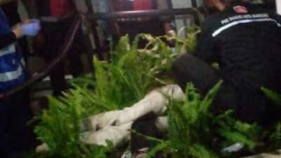 Seorang pria merupakan bobotoh Persib tewas secara tragis usai terjatuh dari Flyover Pasupati.