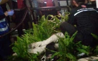 Seorang pria merupakan bobotoh Persib tewas secara tragis usai terjatuh dari Flyover Pasupati.