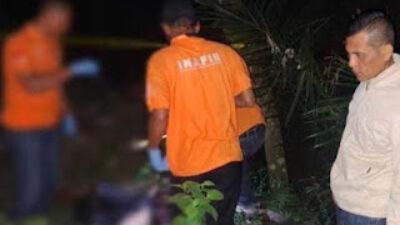 Petugas mengevakuasi mayat pria di kebun kelapa sawit Kabupaten Deliserdang.