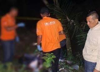 Petugas mengevakuasi mayat pria di kebun kelapa sawit Kabupaten Deliserdang.