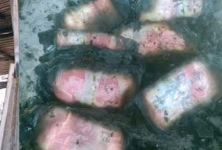 Penampakan uaang tunai Rp50 juta yang ludes terbakar.