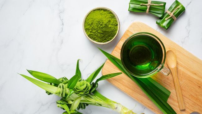 Cukup direbus, daun pandan ternyata punya beberapa manfaat kesehatan. Rebusan daun pandan untuk apa?