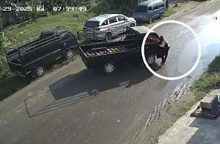 Tangkapan layar petugas Dishub Sampang ditabrak pikap viral di media sosial.