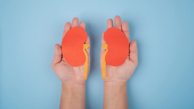 Ada beberapa makanan terburuk buat ginjal.