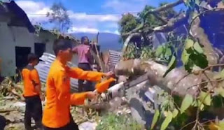 Pohon Tumbang Rusak Rumah
