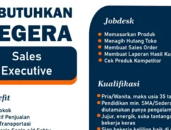 Lowongan Sales Executive PT Adidaya Andalan Asia, Cocok untuk yang Suka Tantangan
