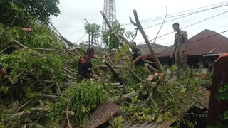 Personil BPBD Padang bersihkan material pohon tumbang di kawasan Simpang Haru.