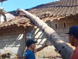 Puluhan Juta Kerugian Akibat Puting Beliung di Semarang, Warga Mengungsi