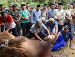 Maigus Nasir Apresiasi Kurban Presiden di Kota Padang