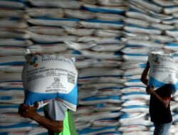 Penyaluran Pupuk Subsidi 2025 Capai Titik Tertinggi Sepanjang Sejarah