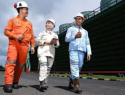 PLN Dorong Transisi Energi Hijau, 760 Ribu Pekerjaan Ramah Lingkungan Akan Tersedia