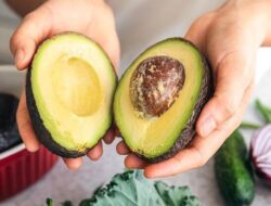 Makan Alpukat Setiap Hari, Aman Nggak? Ini Jawabannya!