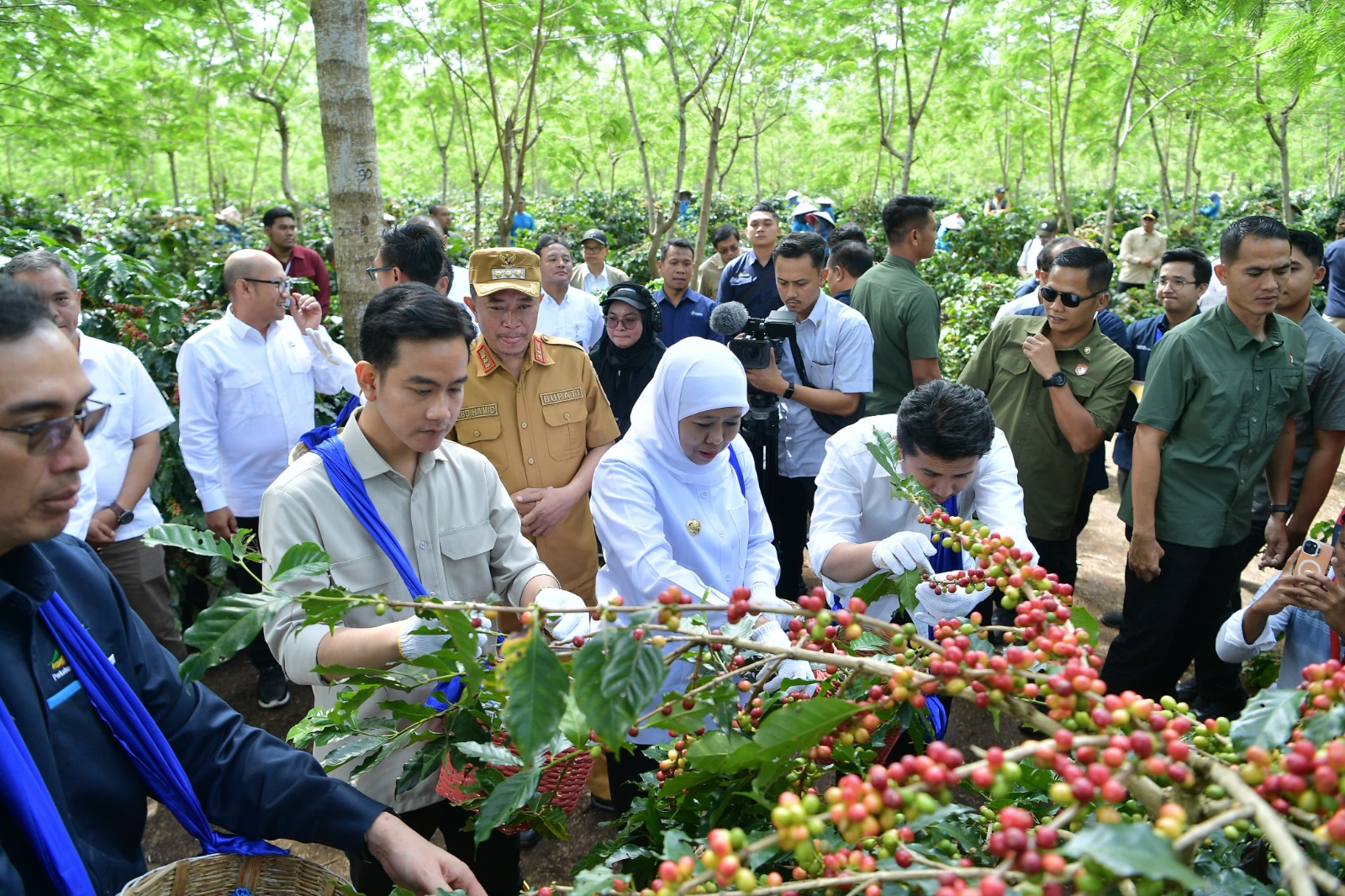 Panen Raya, Wapres: Indonesia Penghasil Kopi Nomor 4 Terbesar di Dunia.
