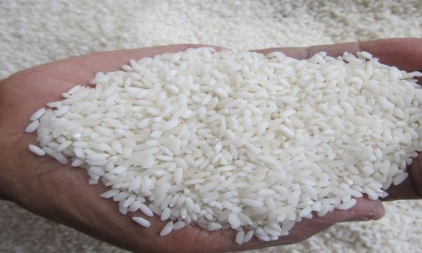 Perkuat Ketahanan Pangan hingga MBG, RI Punya Ekosistem Beras Biofortifikasi.