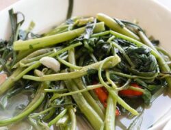 Bukan Daging, Sate Kangkung Jadi Tren Baru Pecinta Kuliner