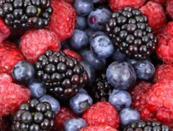 Menu Sehat 50+, Pilihan Cerdas agar Tetap Sehat dan Aktif