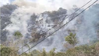 Kebakaran hutan dan lahan (Karhutla) di Kabupaten Limapuluh Kota, Senin (23/6).