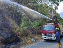 Kebakaran Lahan di Koto Tangah, Padang, Tak Timbulkan Korban