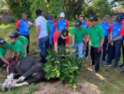 Gubernur Sumbar Apresiasi Program Kurban Bank Nagari