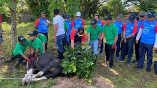 Bank Nagari Gelar Program Berqurban Serentak 2025