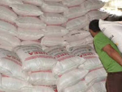 Dinas Pertanian Solok, Pupuk Subsidi Tersedia, Pengawasan Diperketat