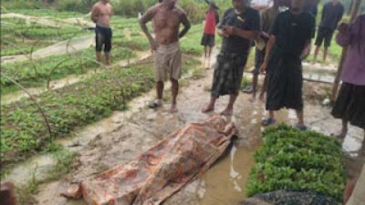 Petani di Sampang Madura tewas disambar petir.