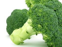 Manfaat dan Risiko Brokoli, Sehat untuk Tubuh, Tapi Perlu Diperhatikan