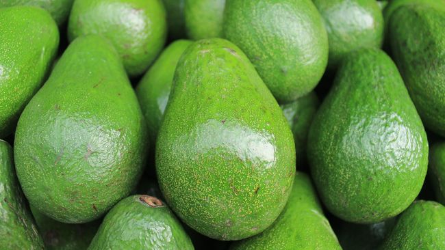Alpukat merupakan salah satu buah yang aman untuk penderita diabetes.