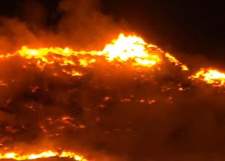 154 Kasus Karhutla Terjadi di Solok