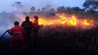 Kebakaran Hebat Landa Hutan Solok.