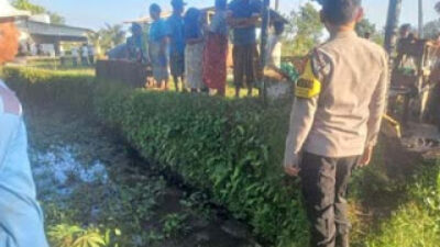 Lokasi persawahan di Desa Airjangka, tempat lansia 70 tahun ditemukan meninggal dunia.