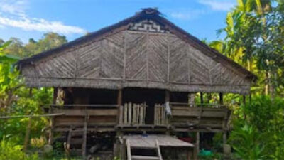 Warga Sipora Tolak Izin PT SPS di Hutan Adat